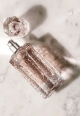 луксозен нишов парфюм Brioni Labdanum Brut в отворена сива кутия с капак и флакон в цвят праскова от GourmetHouse